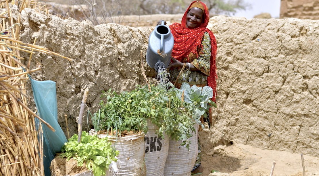 A beneficiary watering her sack gardens in the Diffa region © Welthungerhilfe/CESVI
