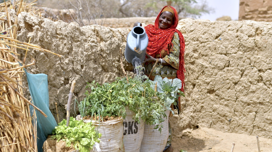A beneficiary watering her sack gardens in the Diffa region © Welthungerhilfe/CESVI